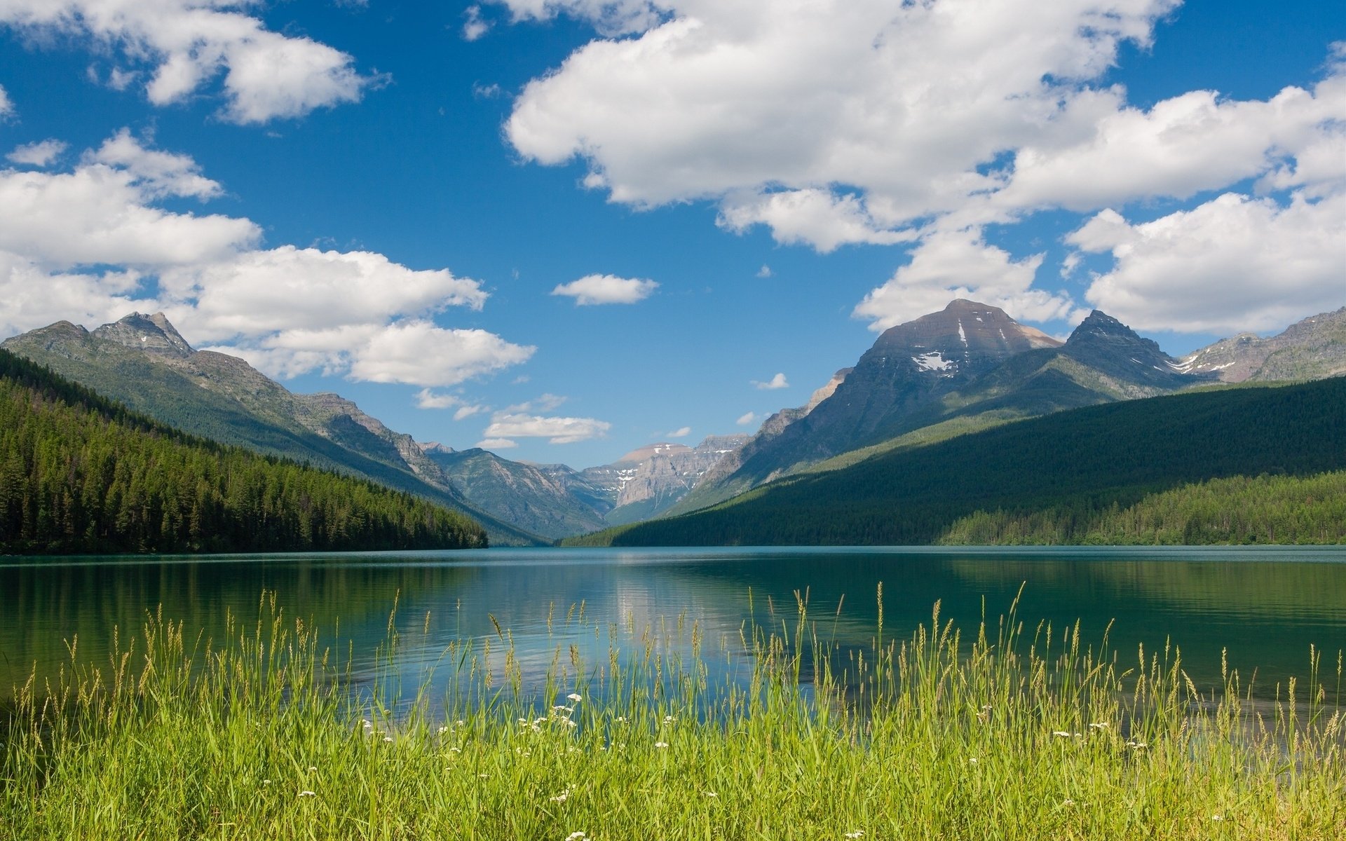 A tranquil view of Lake McDonald, framed by lush green grass and towering mountains under a bright blue sky with fluffy clouds, showcasing the beauty of nature.