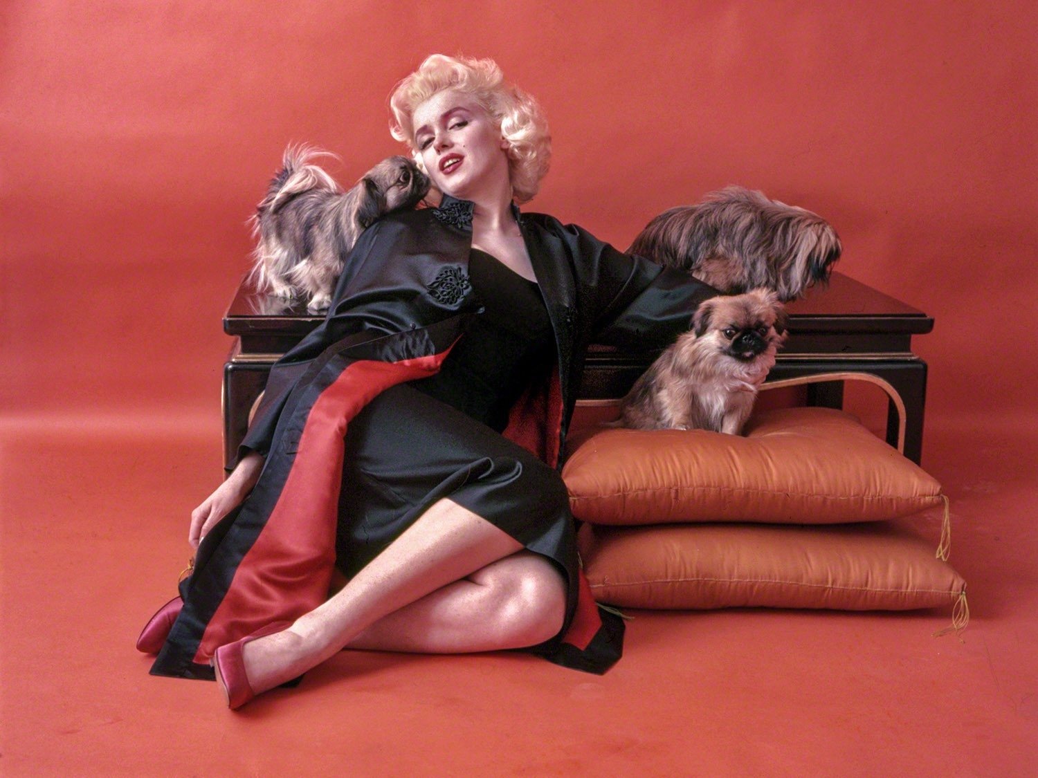 Celebrity Marilyn Monroe Image
