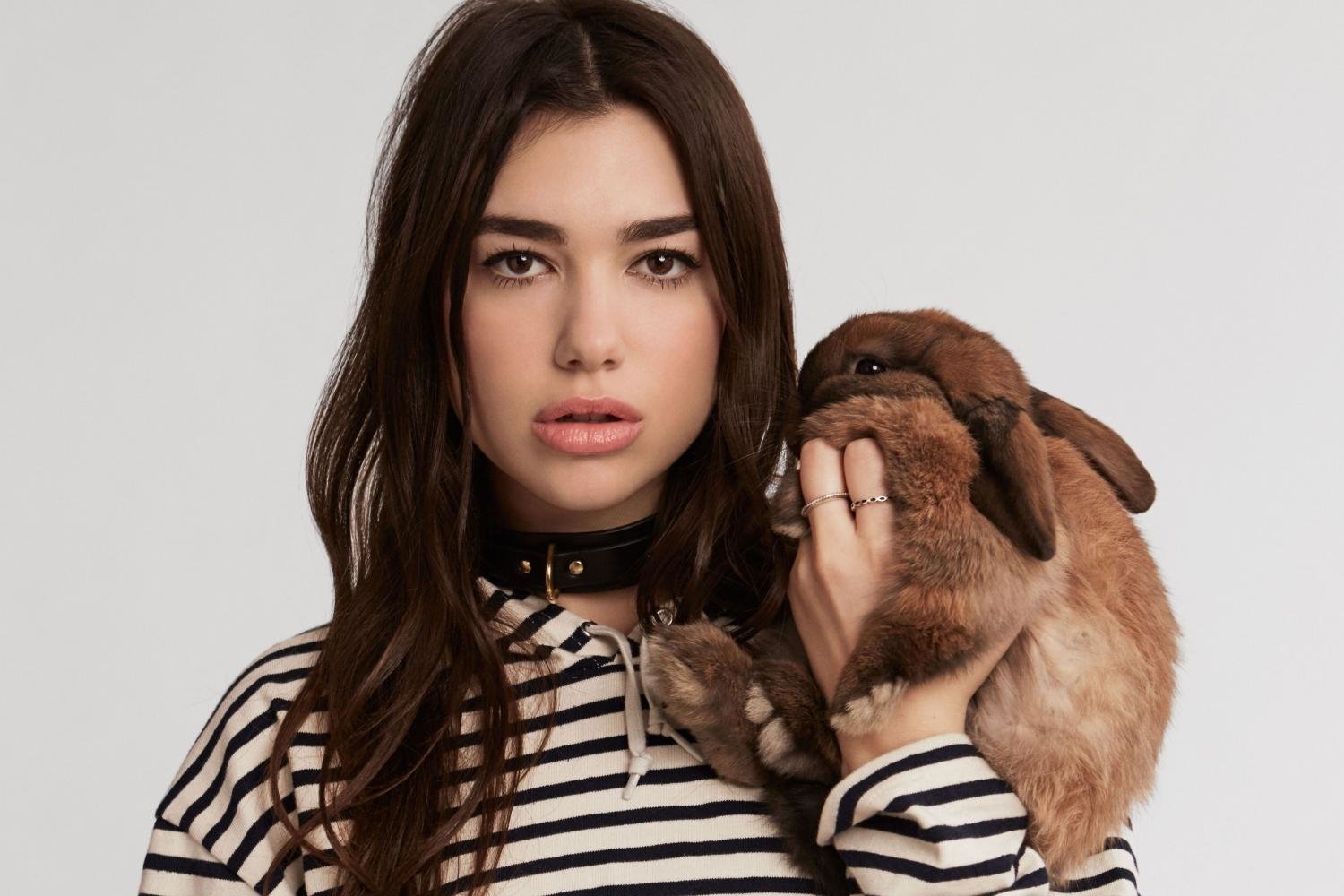 music Dua Lipa Image