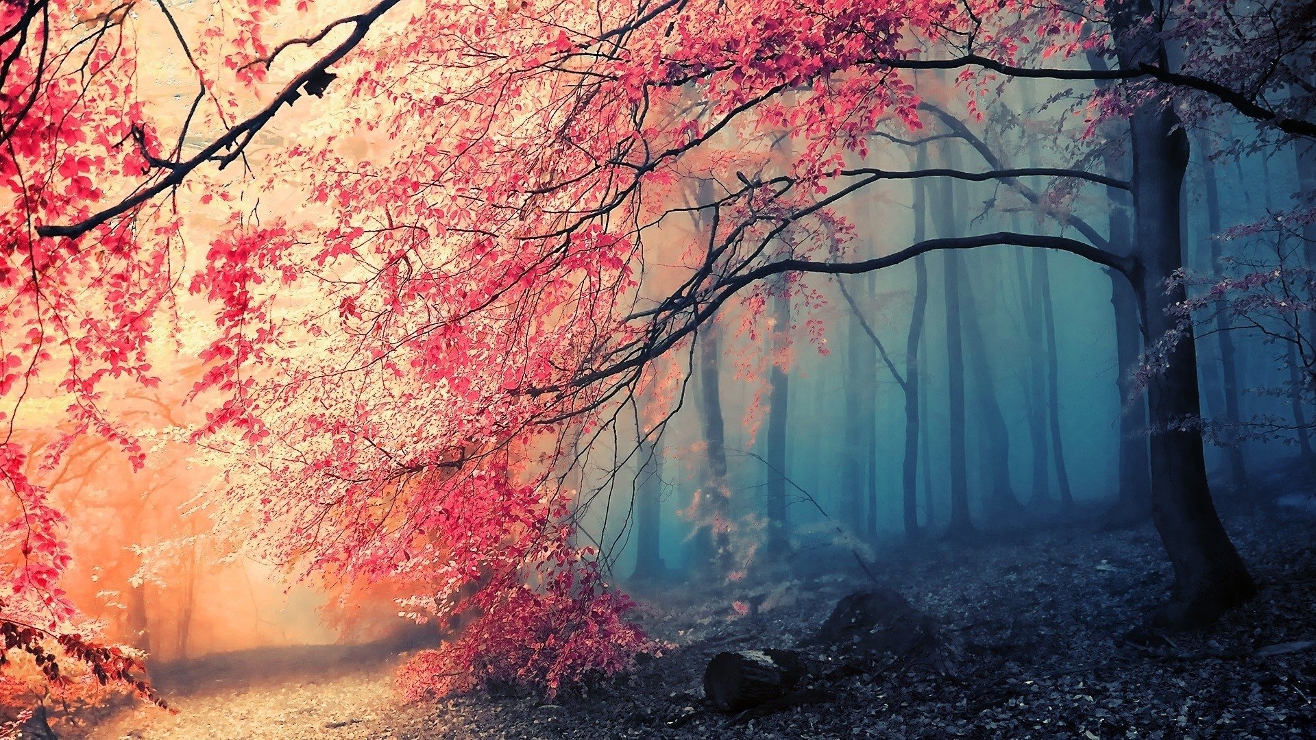 A serene forest scene features vibrant pink leaves contrasting with a misty blue backdrop, creating an enchanting atmosphere that highlights the beauty of nature.
