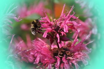 Preview Image 299071