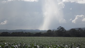 Preview Image 299496
