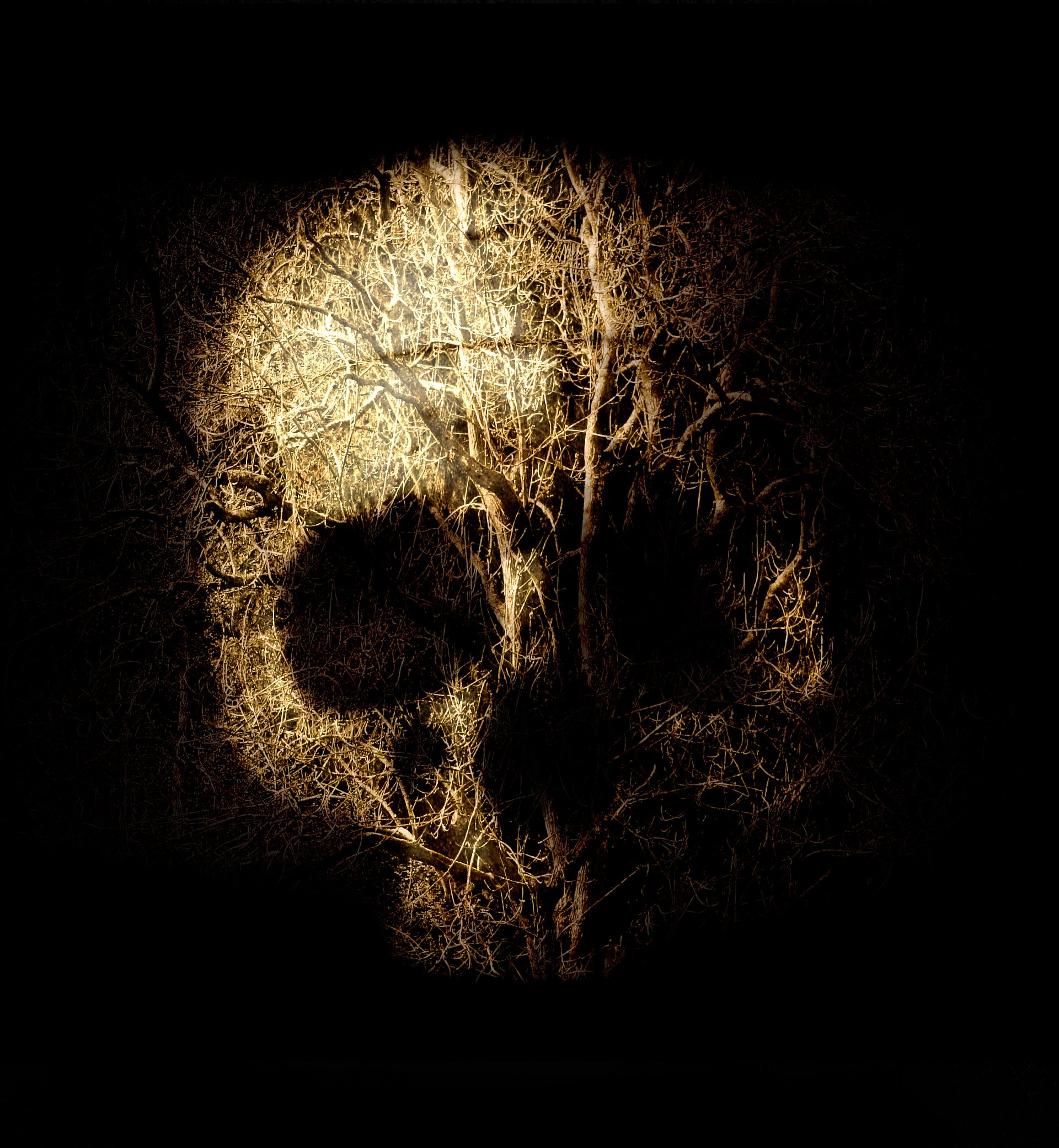 dark skull Image