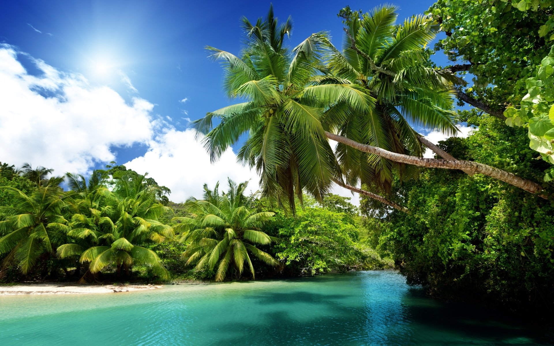 nature island Image