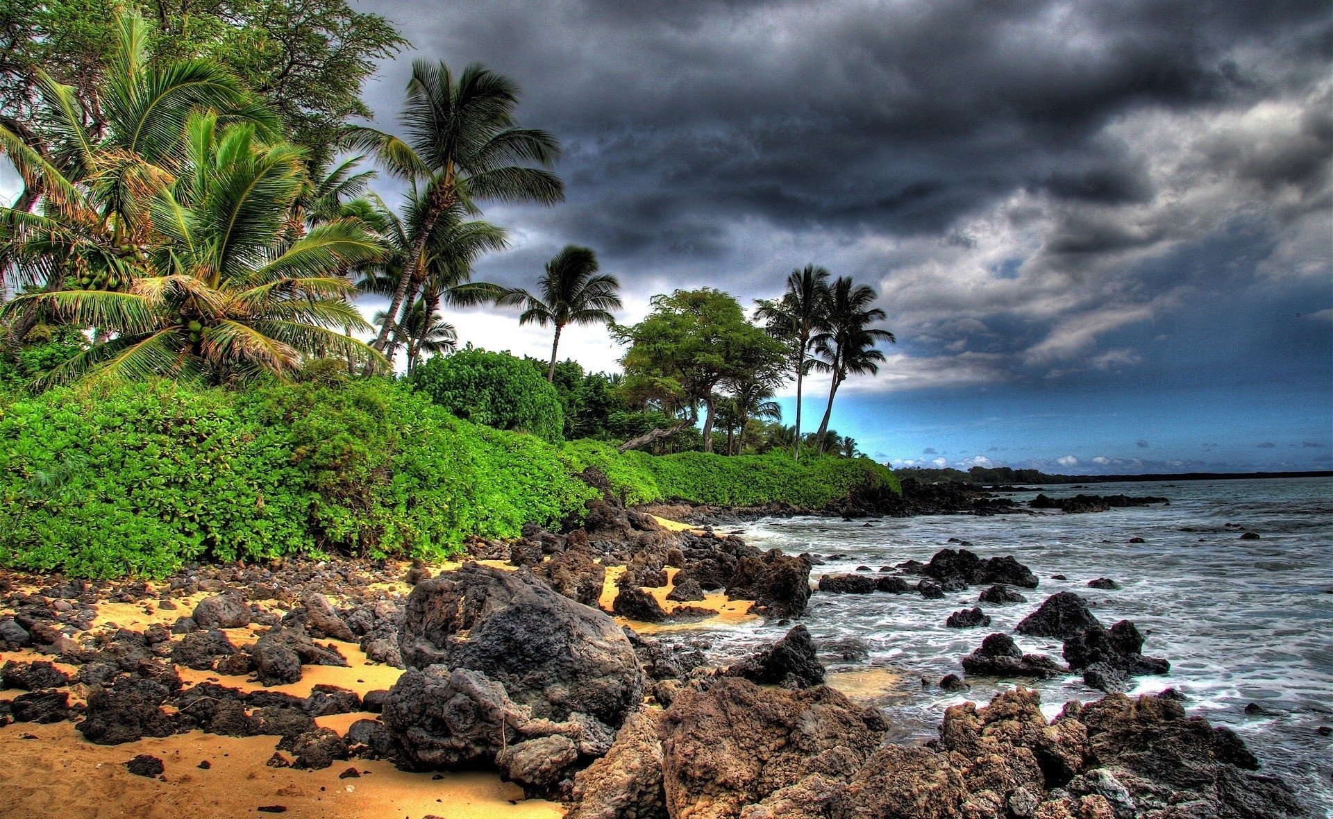 A tropical seashore with palm trees and dense greenery under dramatic cloud-filled skies. Rocky shoreline meets the ocean in this vibrant nature scene.