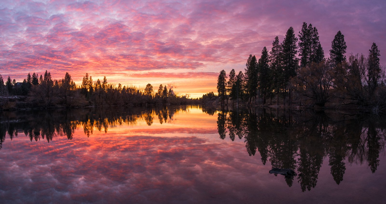 sky reflection tree cloud lake nature sunset Image
