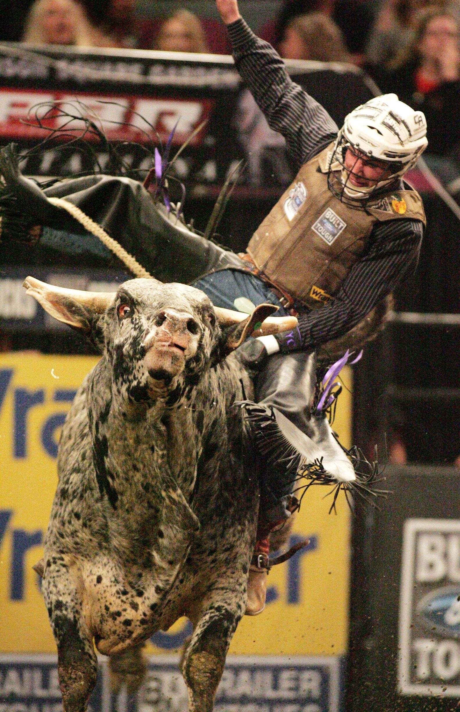 bullriding Sports Image