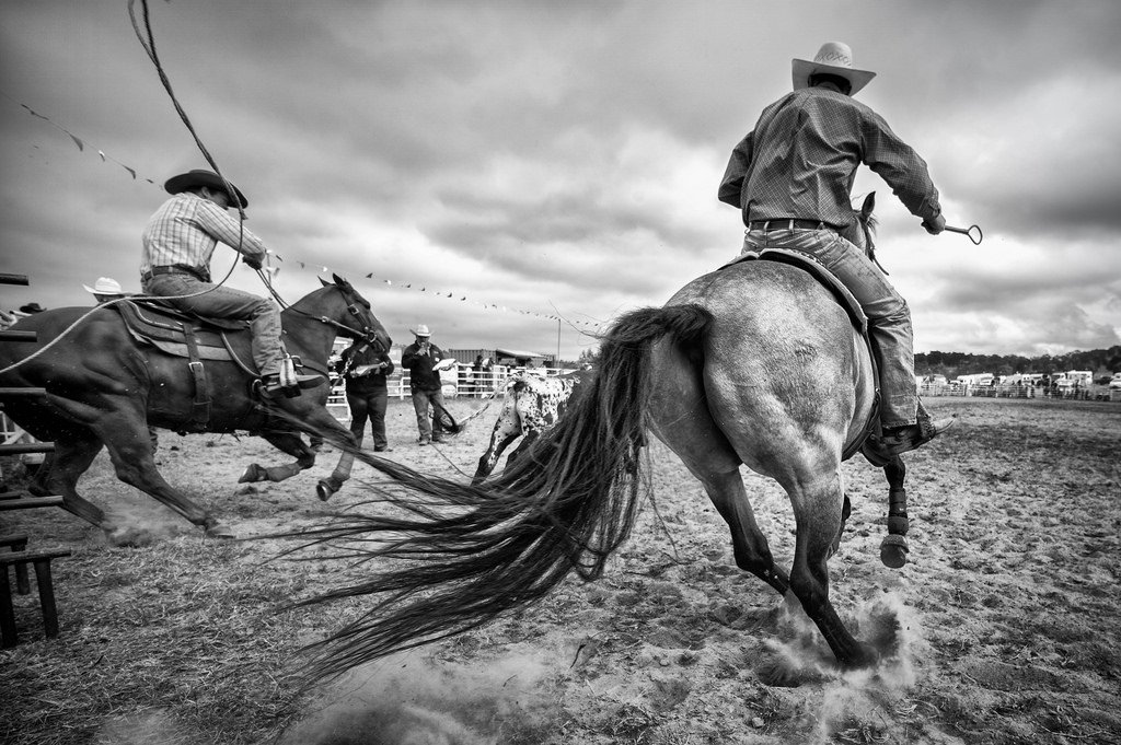 man cowboy Image