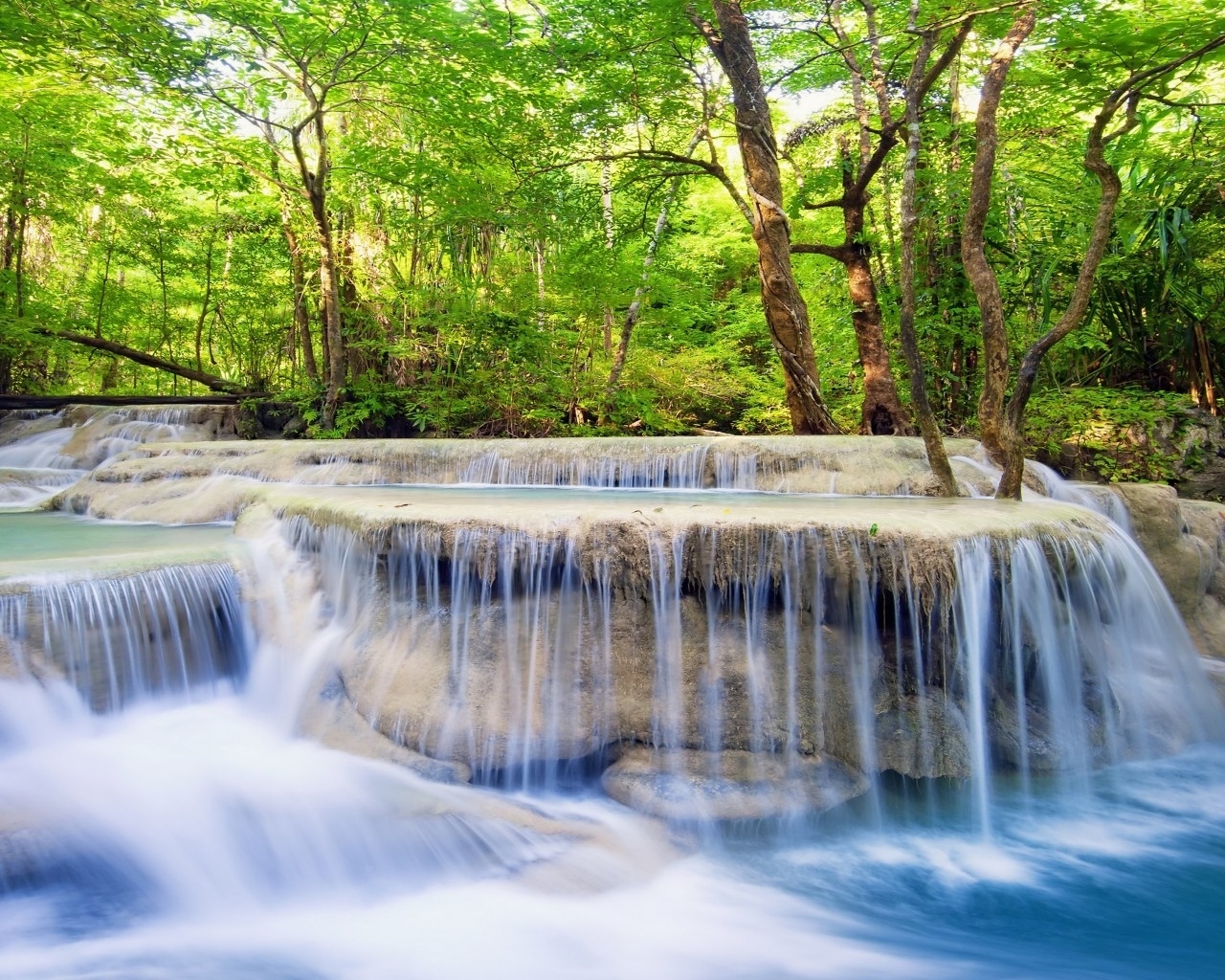 Download Water Green Forest Nature Waterfall Image