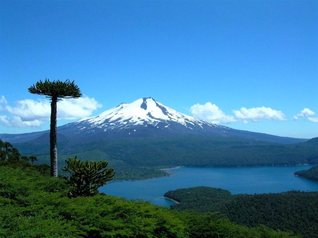 Cual es el volcán mas grande del mundo