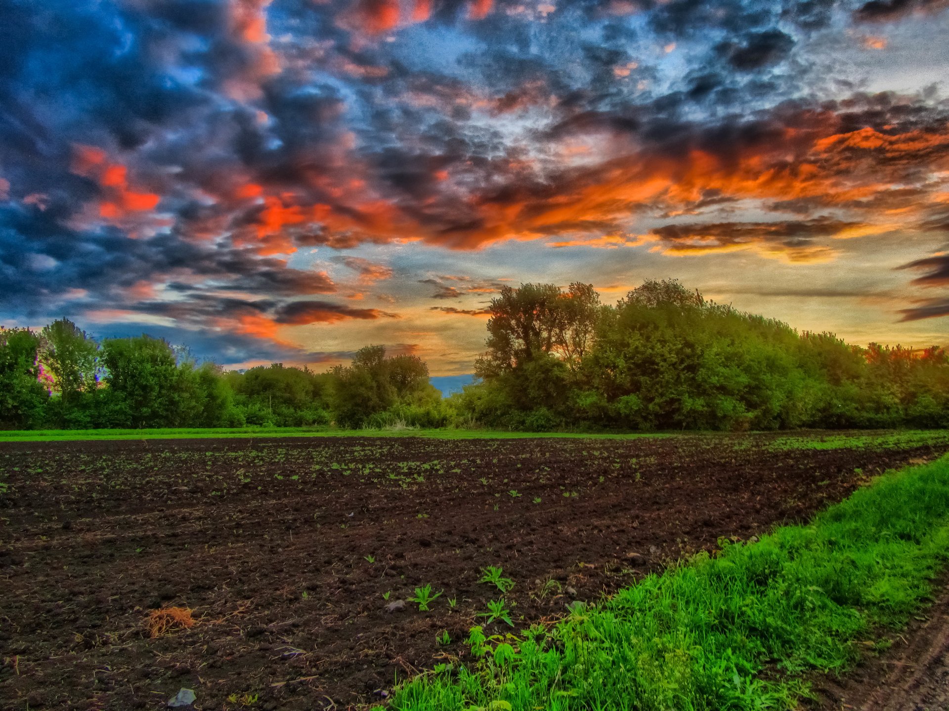 A vibrant HDR landscape featuring a dramatic sunset, colorful clouds, and lush greenery bordering a freshly plowed field, showcasing the beauty of nature.
