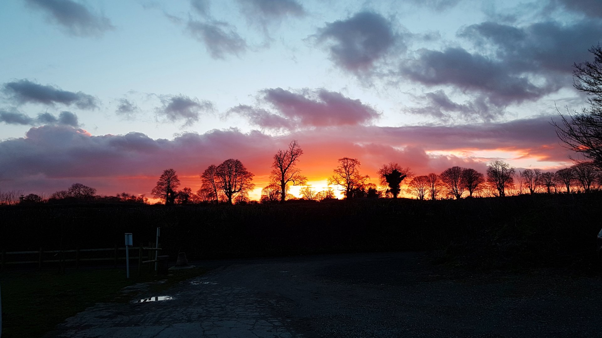 A vibrant sunset paints the sky with shades of orange and pink, silhouetting trees against a backdrop of clouds, embodying the beauty of nature.