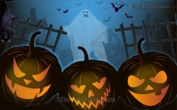 Preview Image 303462