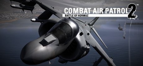 video game Combat Air Patrol 2: Military Flight Simulator Image