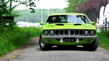 Preview Image 304162