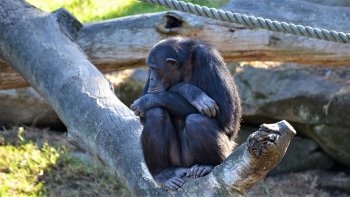 Preview Image 304889