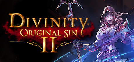 Divinity: Original Sin II Picture