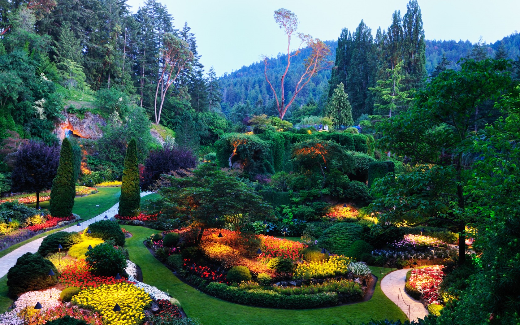 Garden Picture