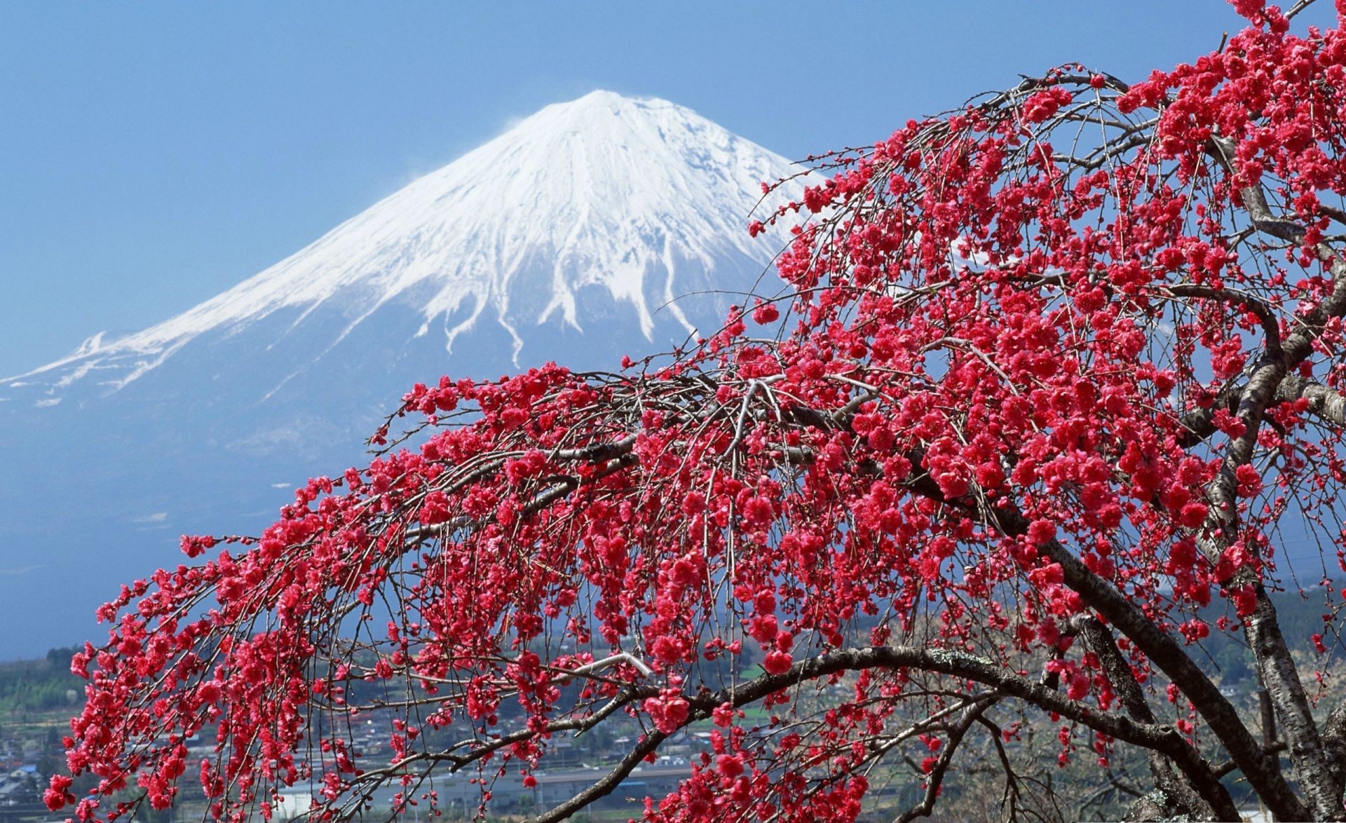 Mount Fuji (Japan)