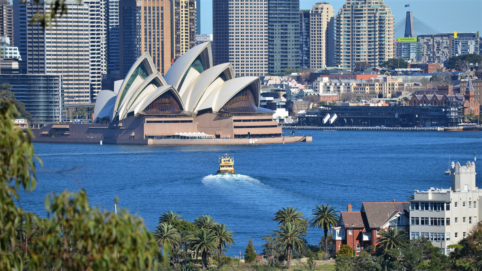  City of Sydney, Australia, taken from Taronga Zoo