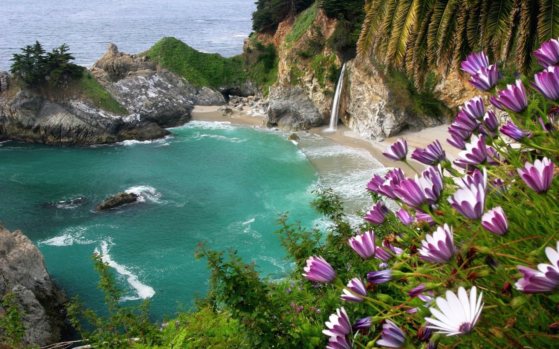 McWay Falls nature big sur Image