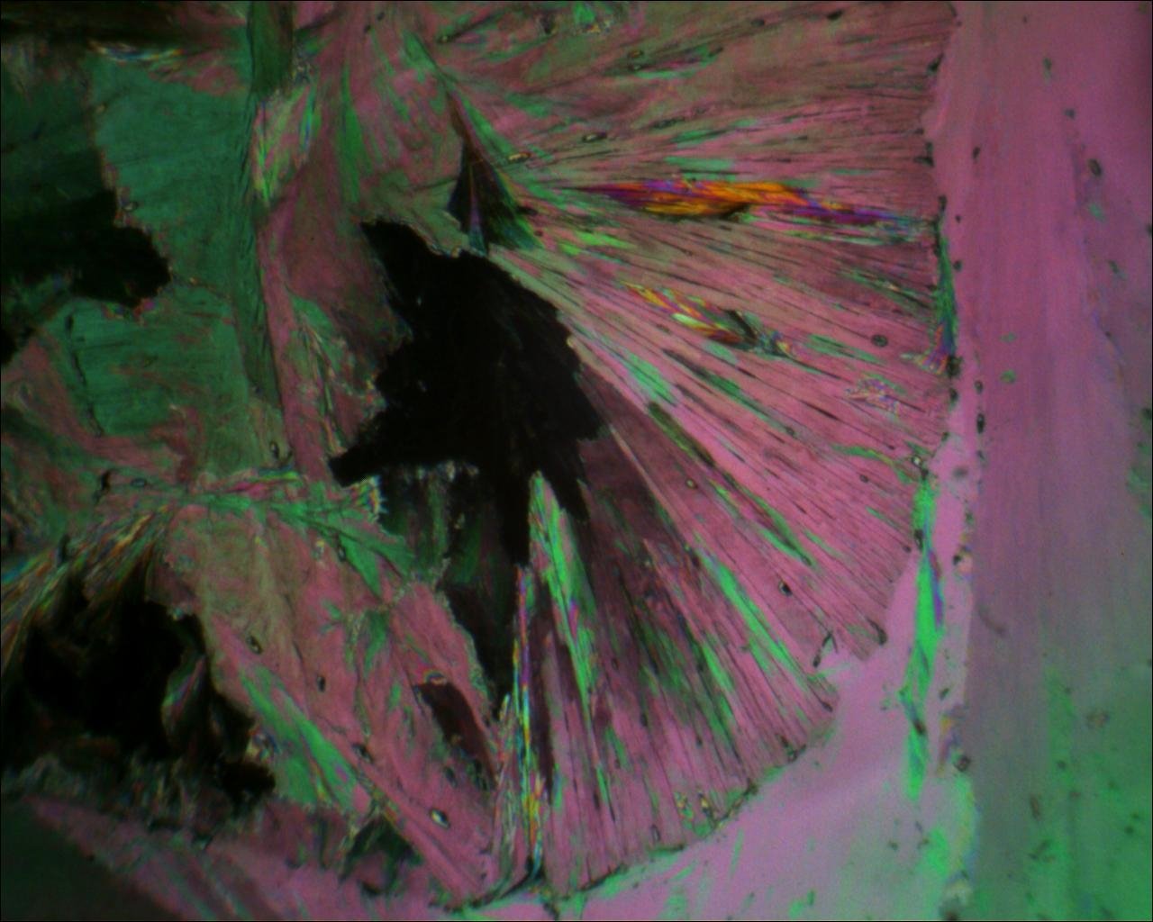  Picture of crystallization of vanillin at 40 Celsius