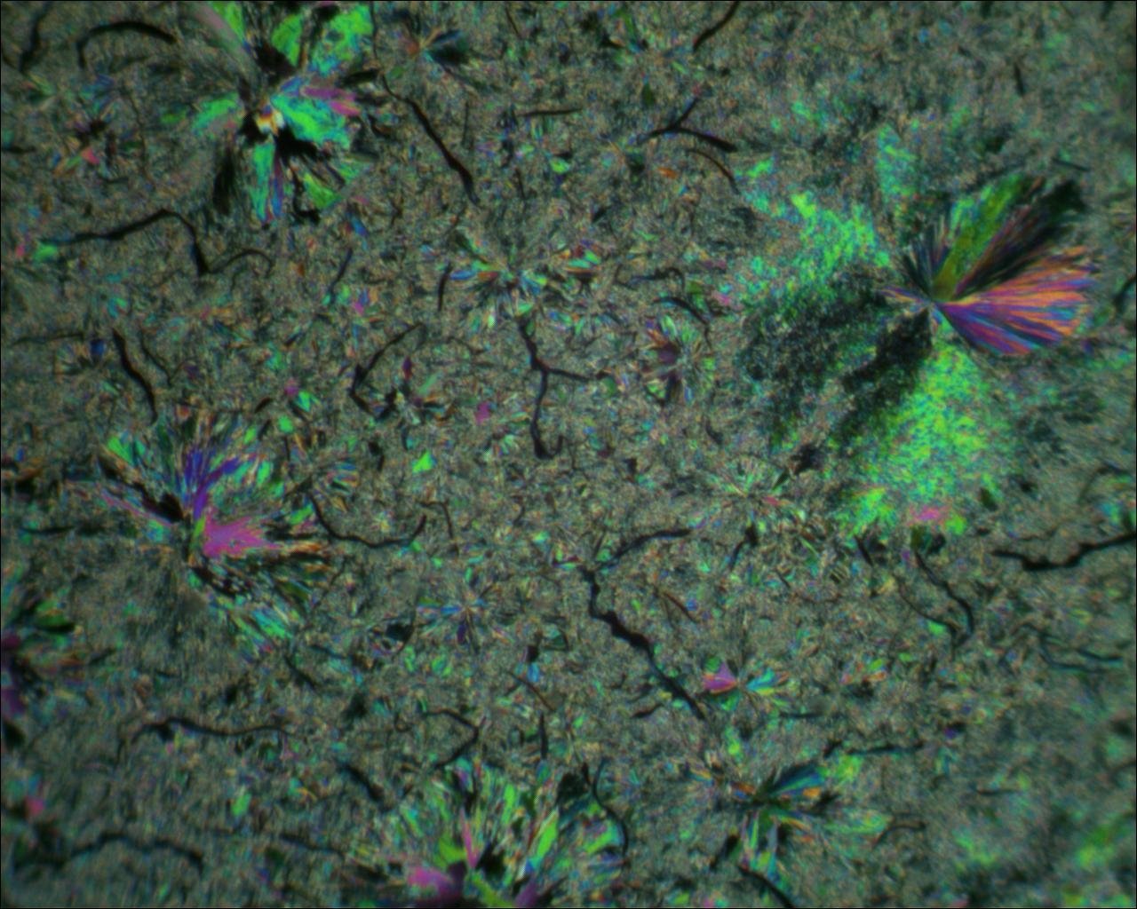  Picture of crystallization of vanillin at below 2 Celsius