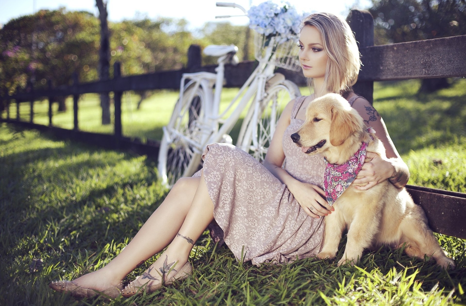 A woman sits peacefully beside a white bike, gently cuddling her golden retriever dog in a sunlit meadow, capturing a serene and joyful mood.