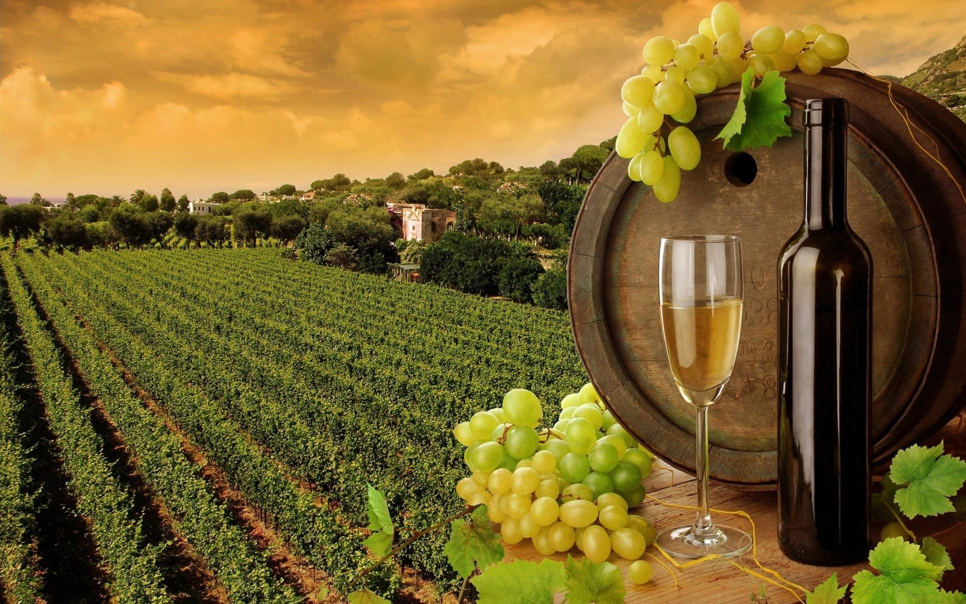 A scenic vineyard at sunset features a wooden wine barrel, a bottle, and a glass of white wine, surrounded by clusters of fresh grapes.