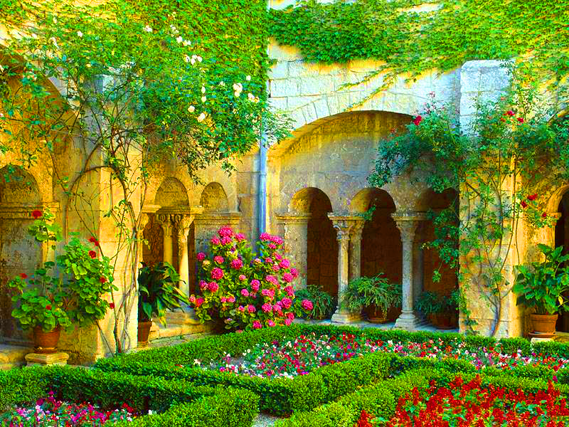 Courtyard with Colorful Flowers Image Abyss