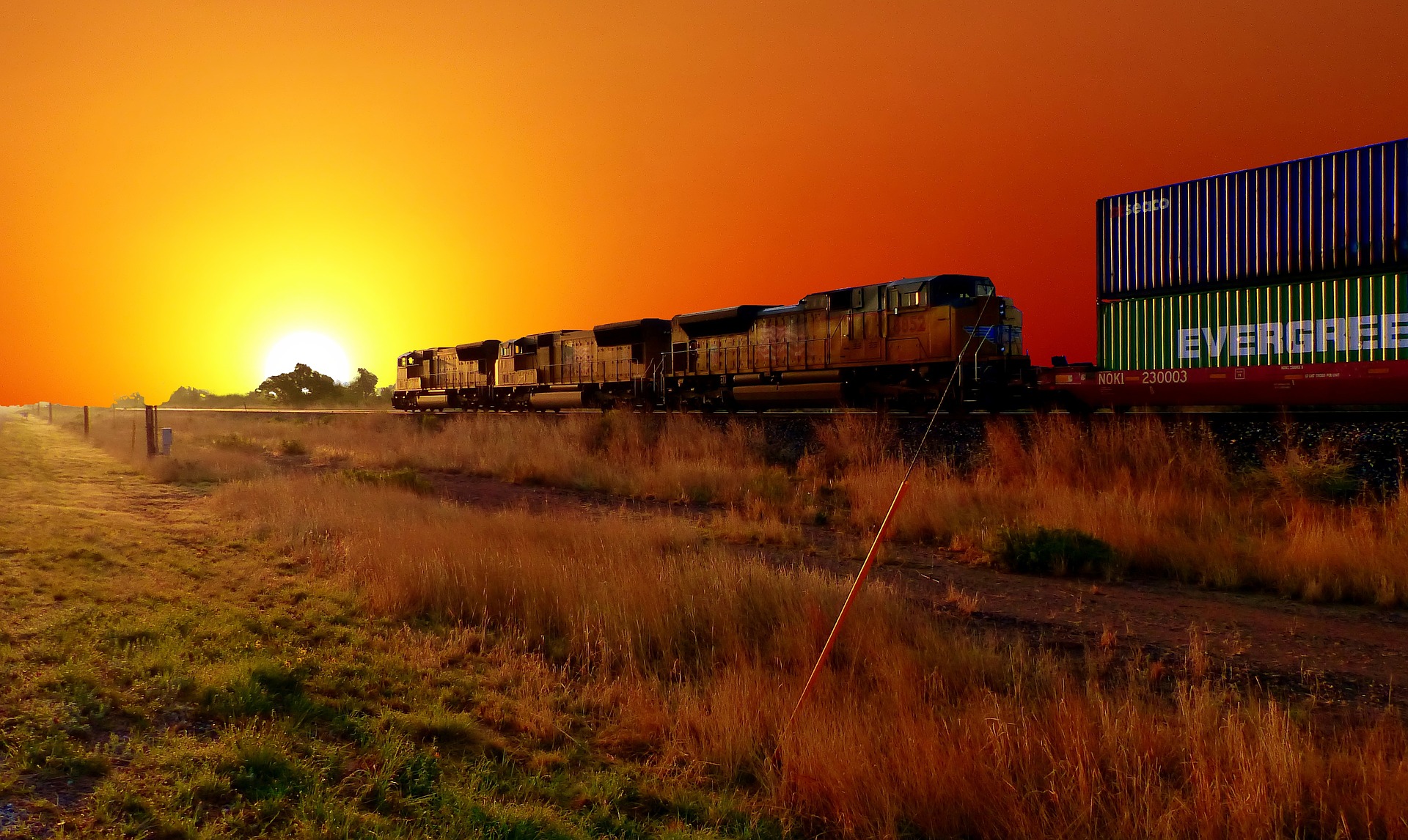 Train Picture by Rene Rauschenberger - Image Abyss