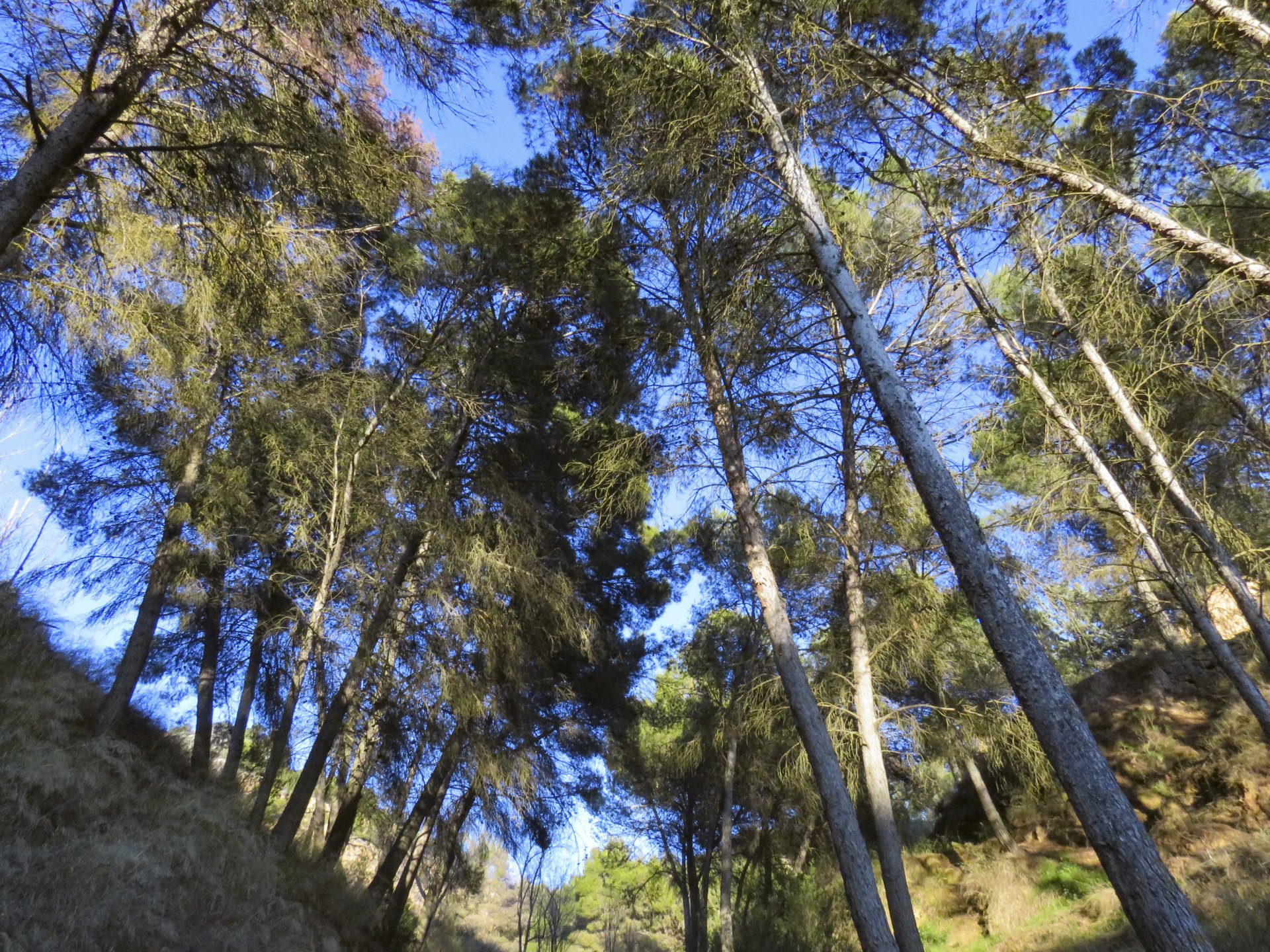  Imponente naturaleza