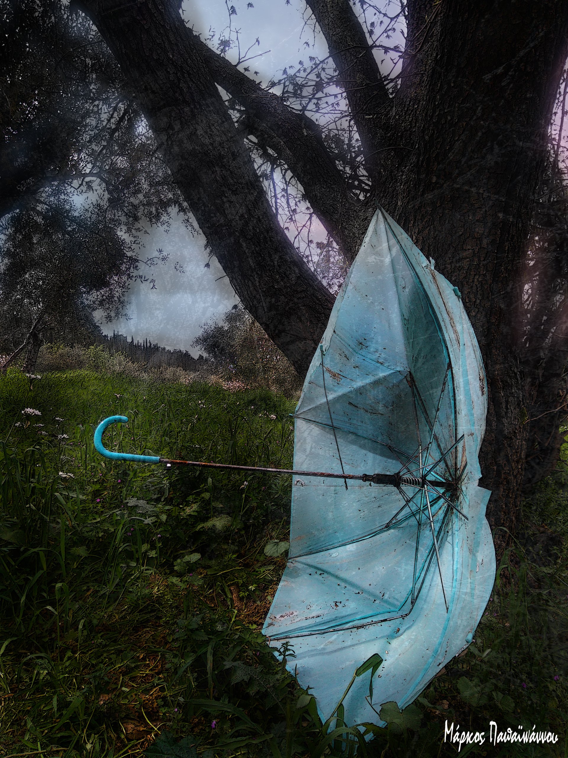 Umbrella Alone