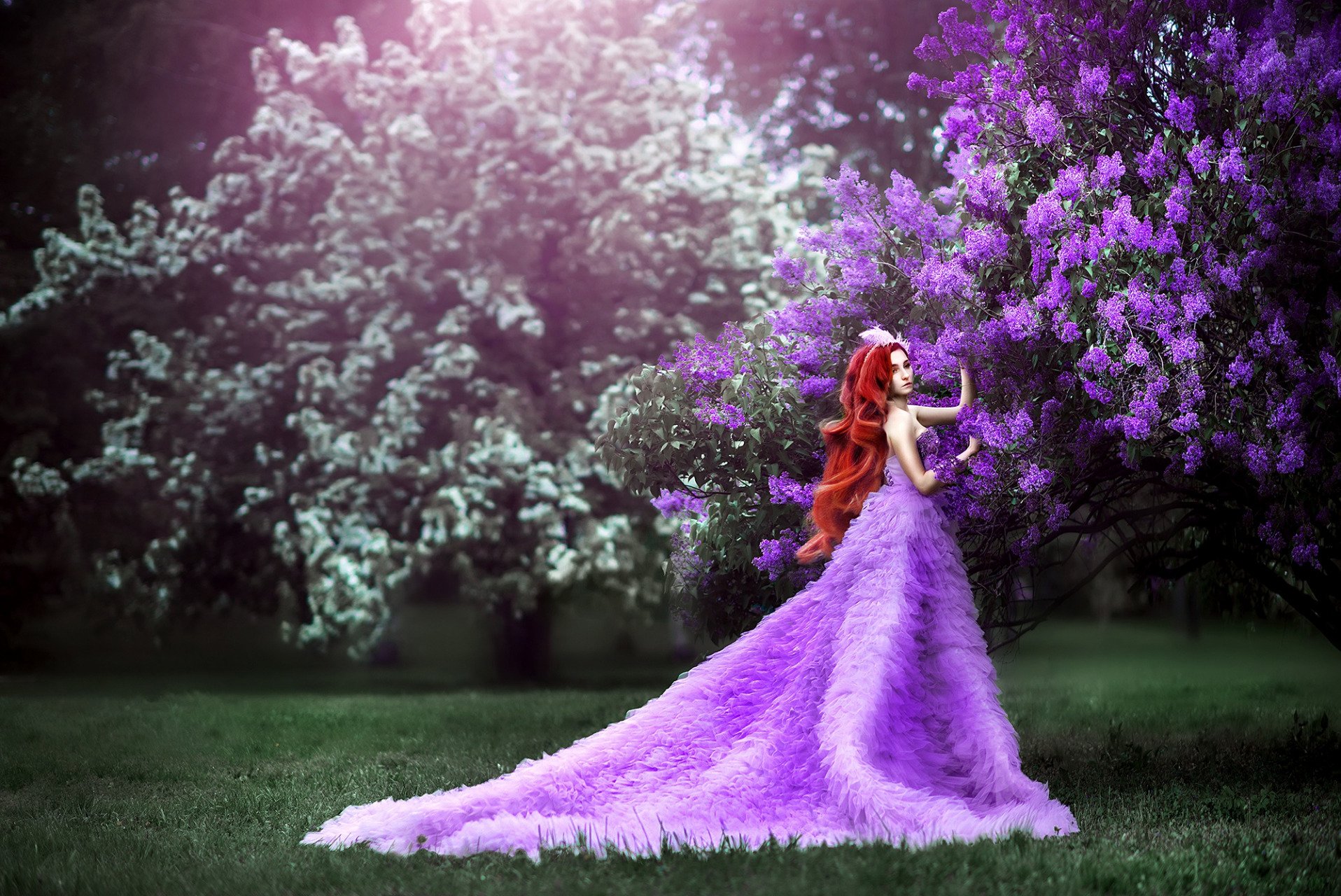 Download Purple Dress Crown Tree Princess Woman Dress Image