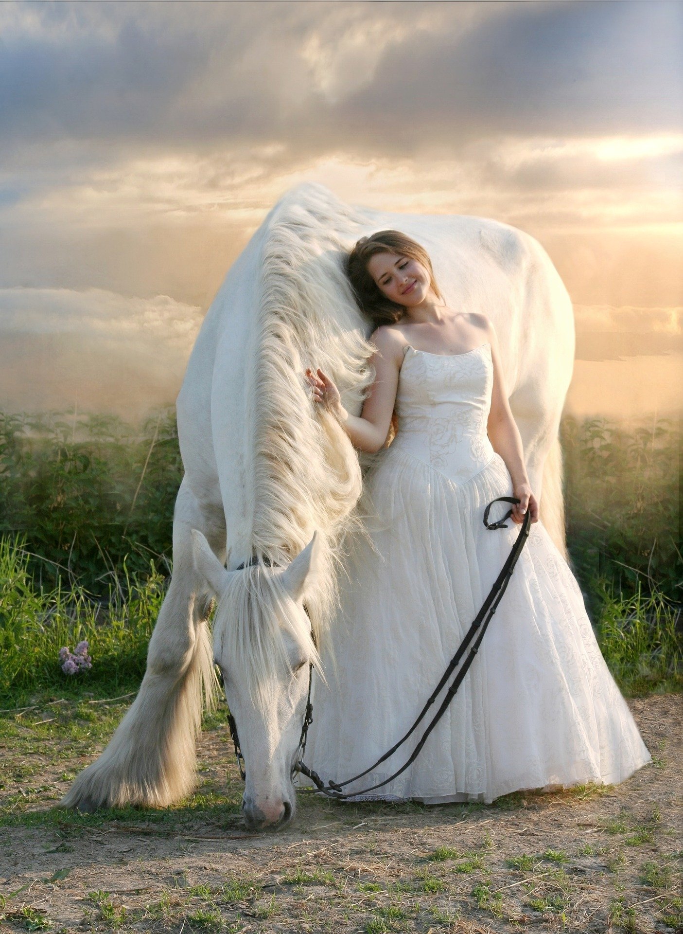  Beautiful Woman and White Horse by Dorota Kudyba