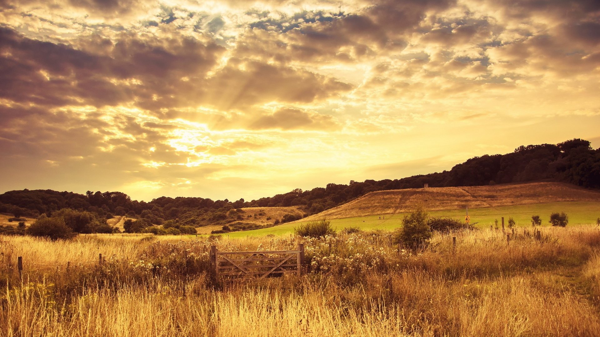 photography landscape gate Image