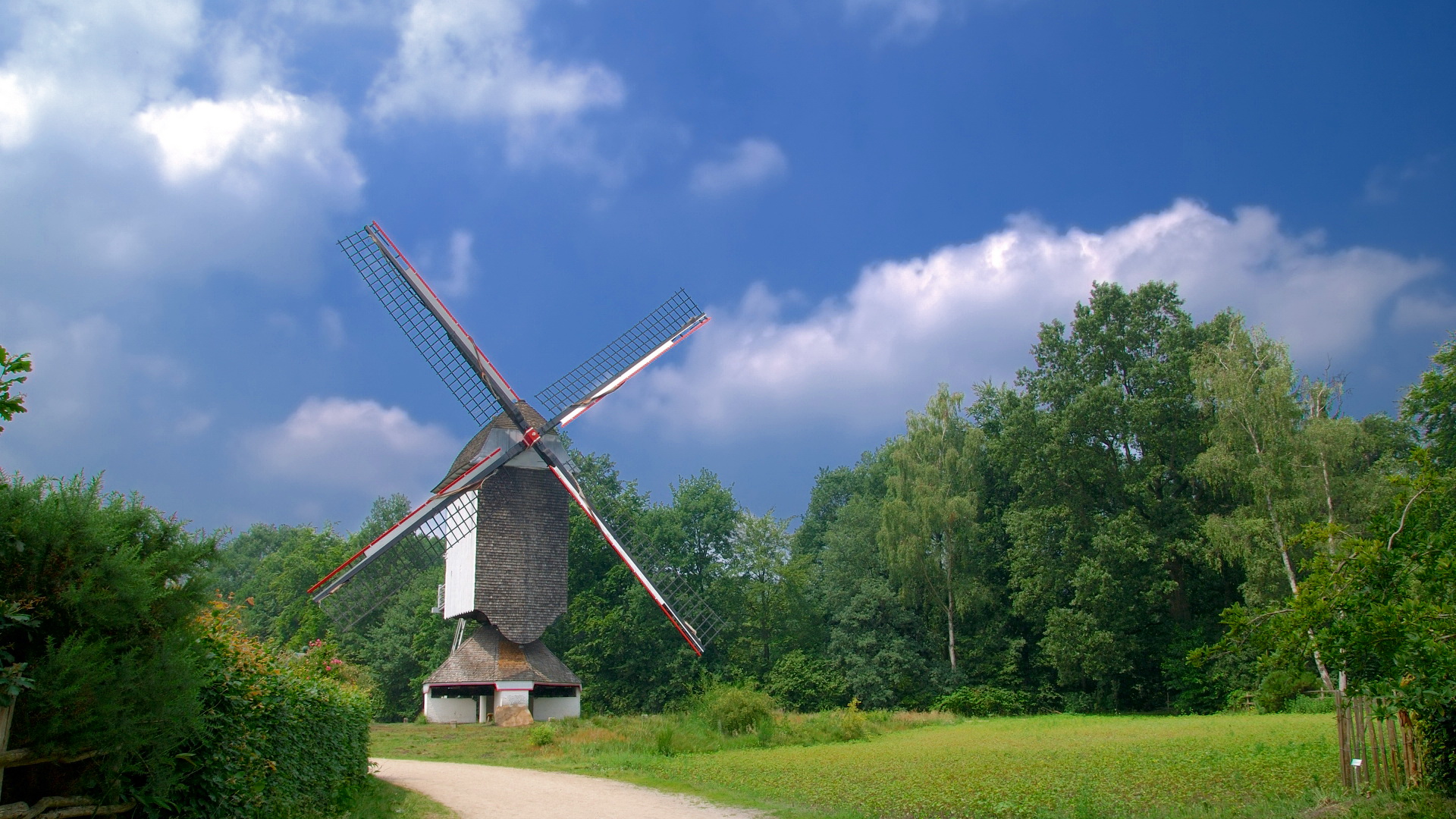 Windmill Picture