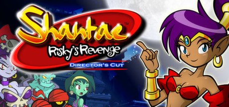 video game Shantae: Risky's Revenge Image
