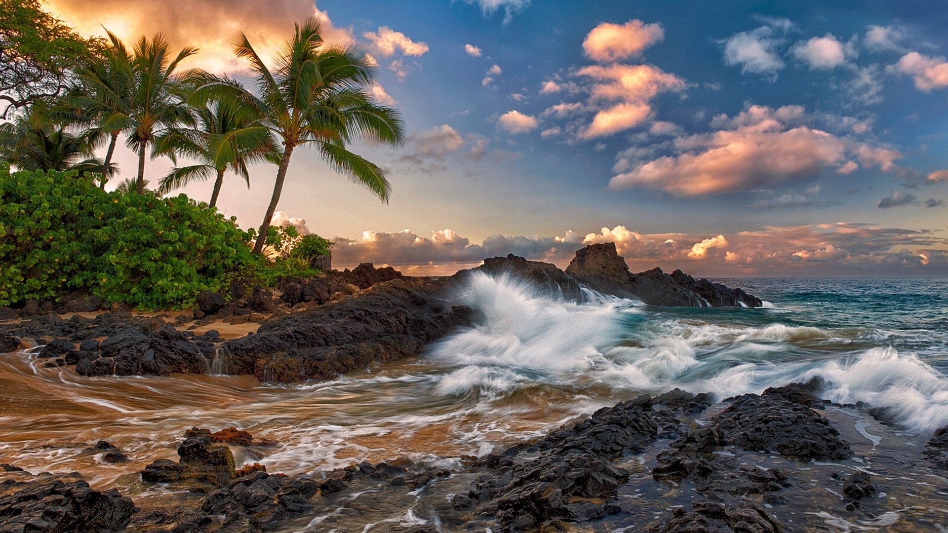 Ocean waves splash against rocky shores with palm trees and lush greenery under a vibrant sky along a Hawaiian beach horizon.