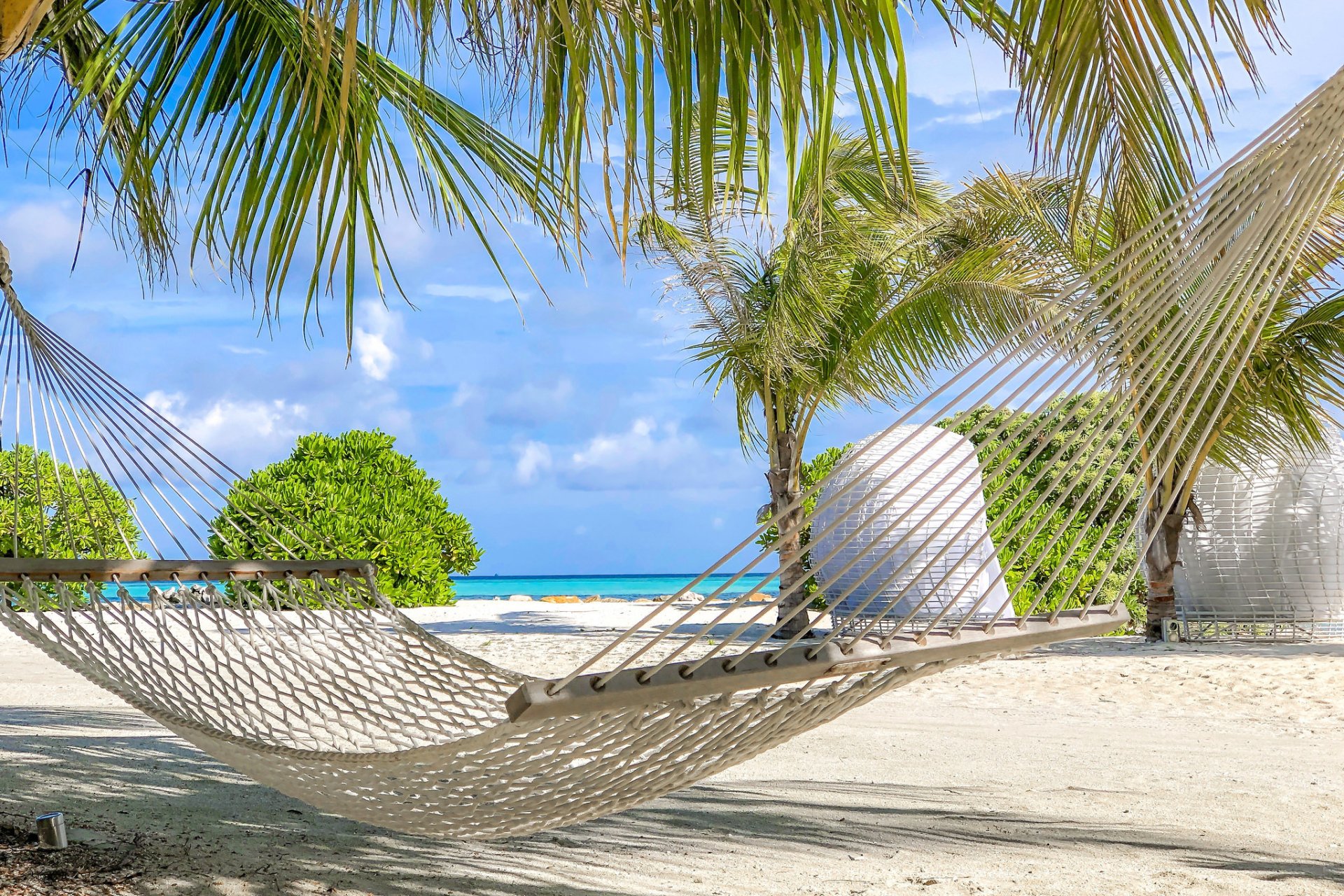 tropical beach man made hammock Image