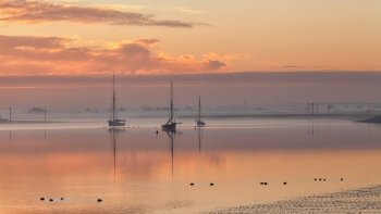 Preview Image 307413