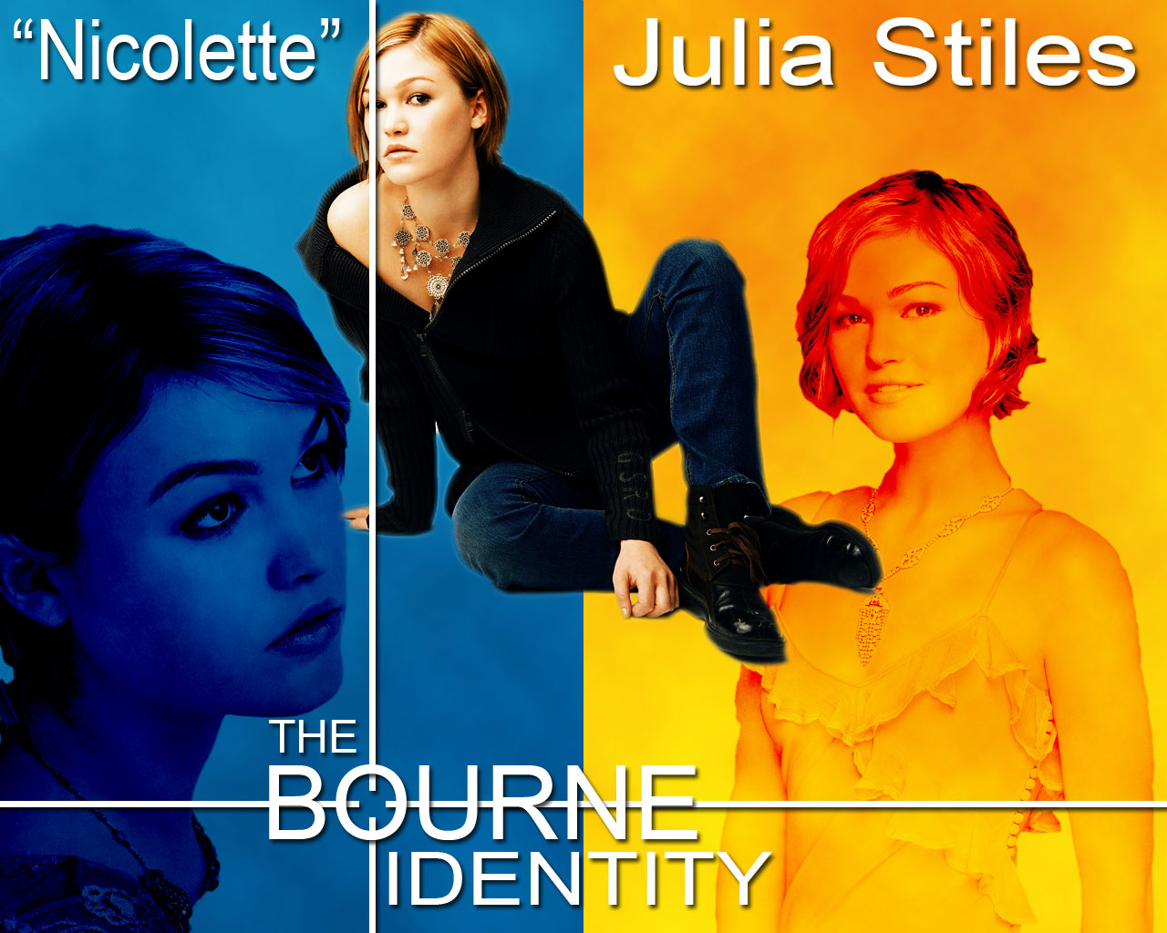 The Bourne Identity Picture
