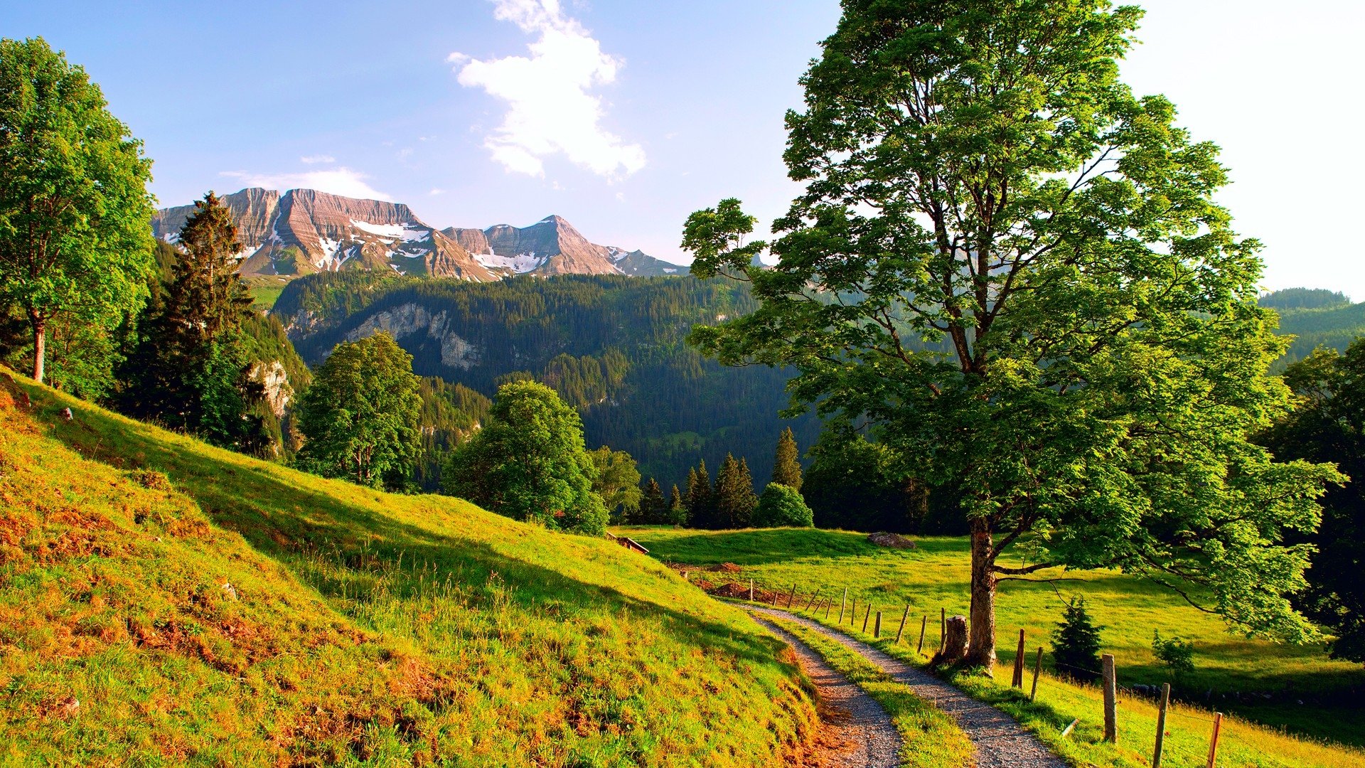 A scenic nature path winds through lush greenery, bordered by trees, with majestic mountains rising in the background under a bright blue sky.