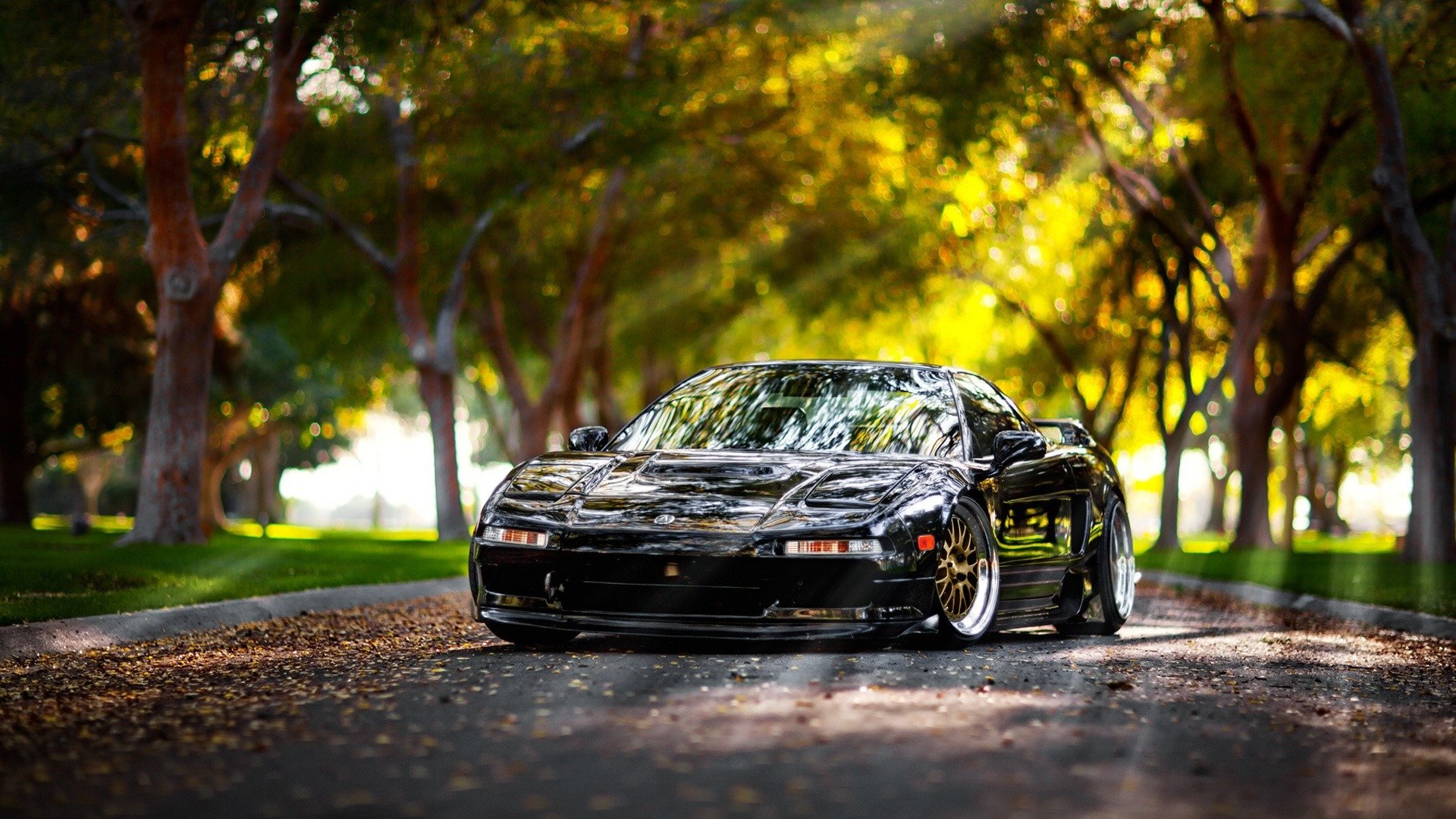 vehicle Honda Image