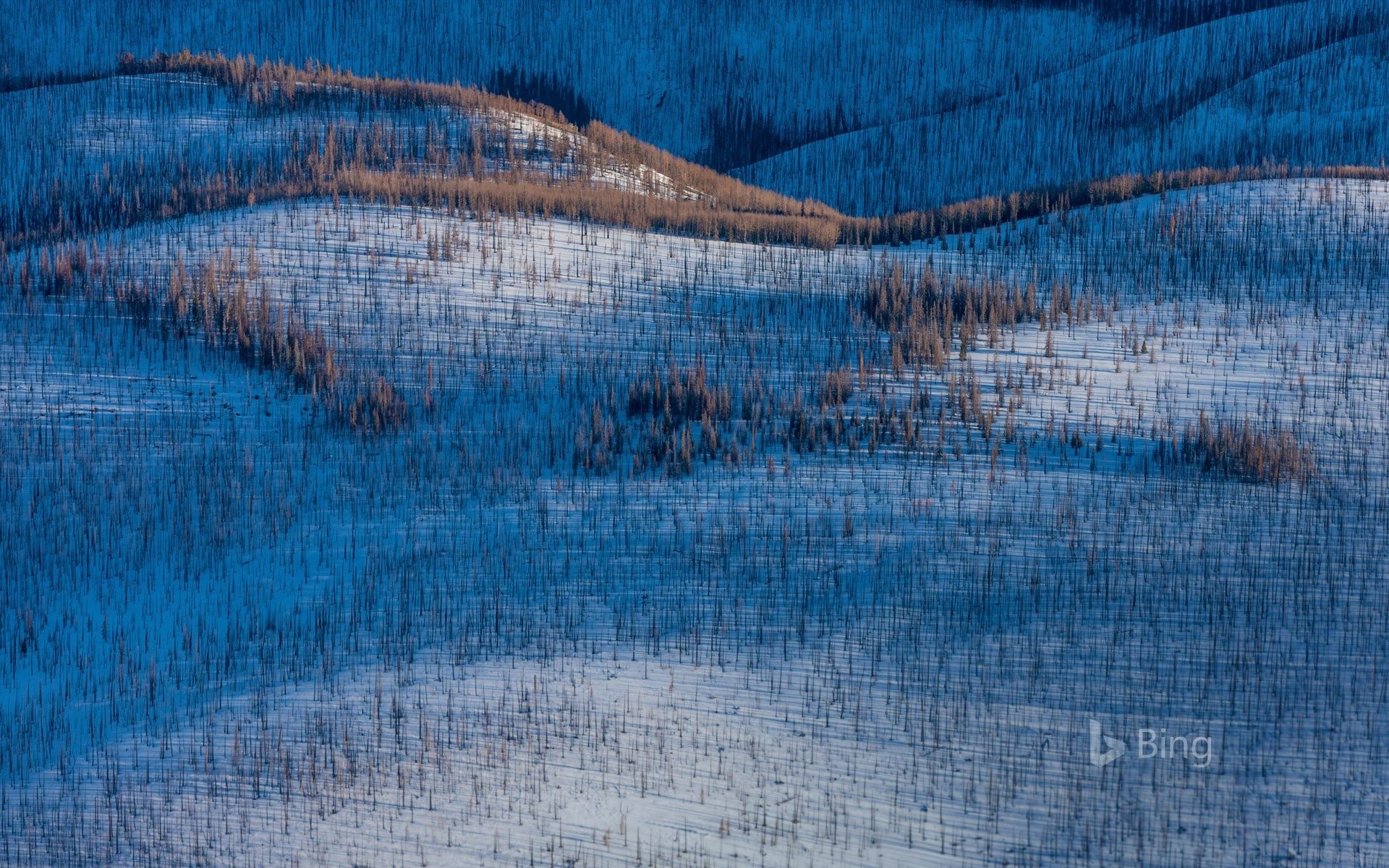 Wolf Creek Pass - Desktop Wallpapers, Phone Wallpaper, PFP, Gifs, and More!