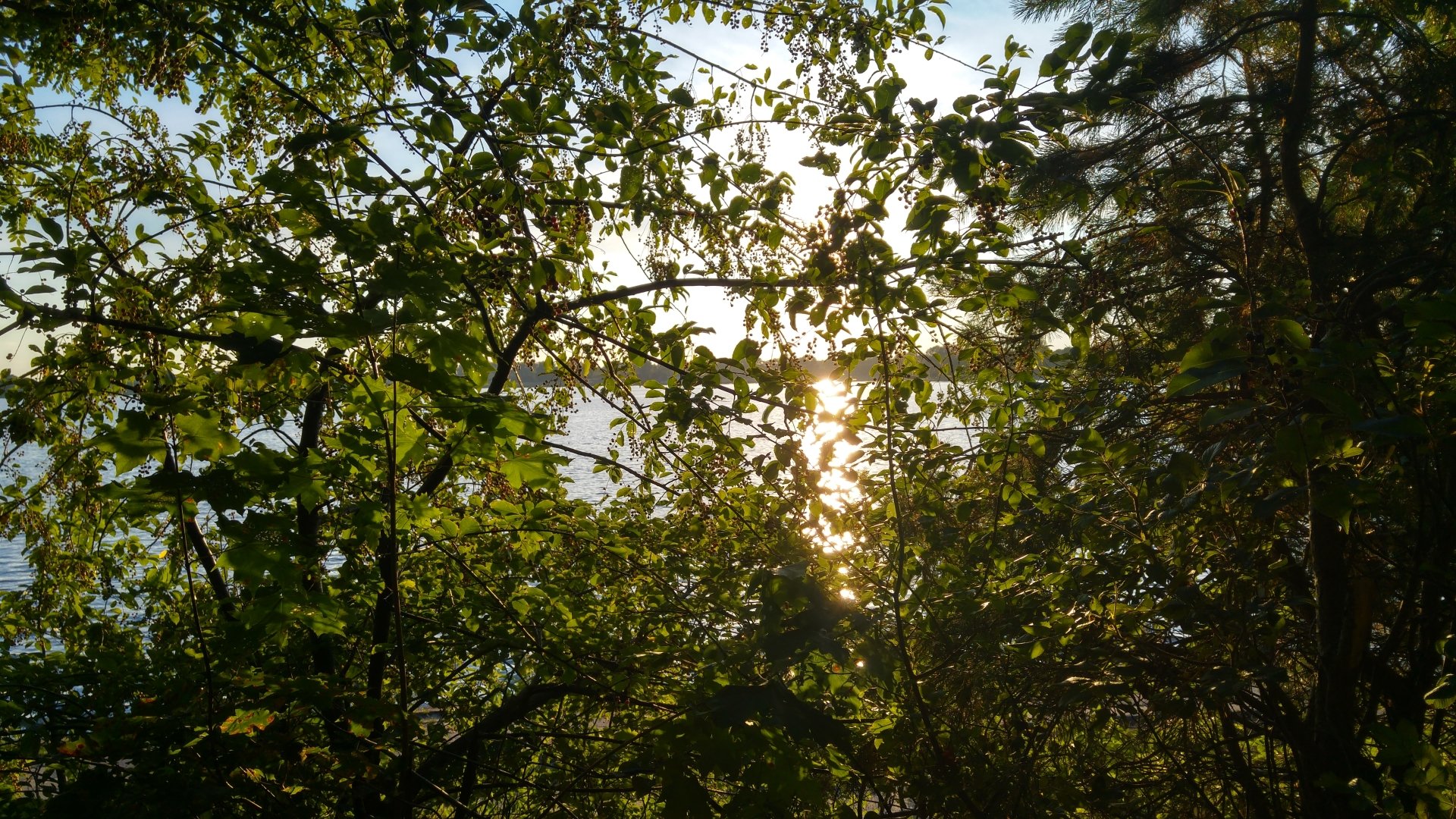 photography nature Image