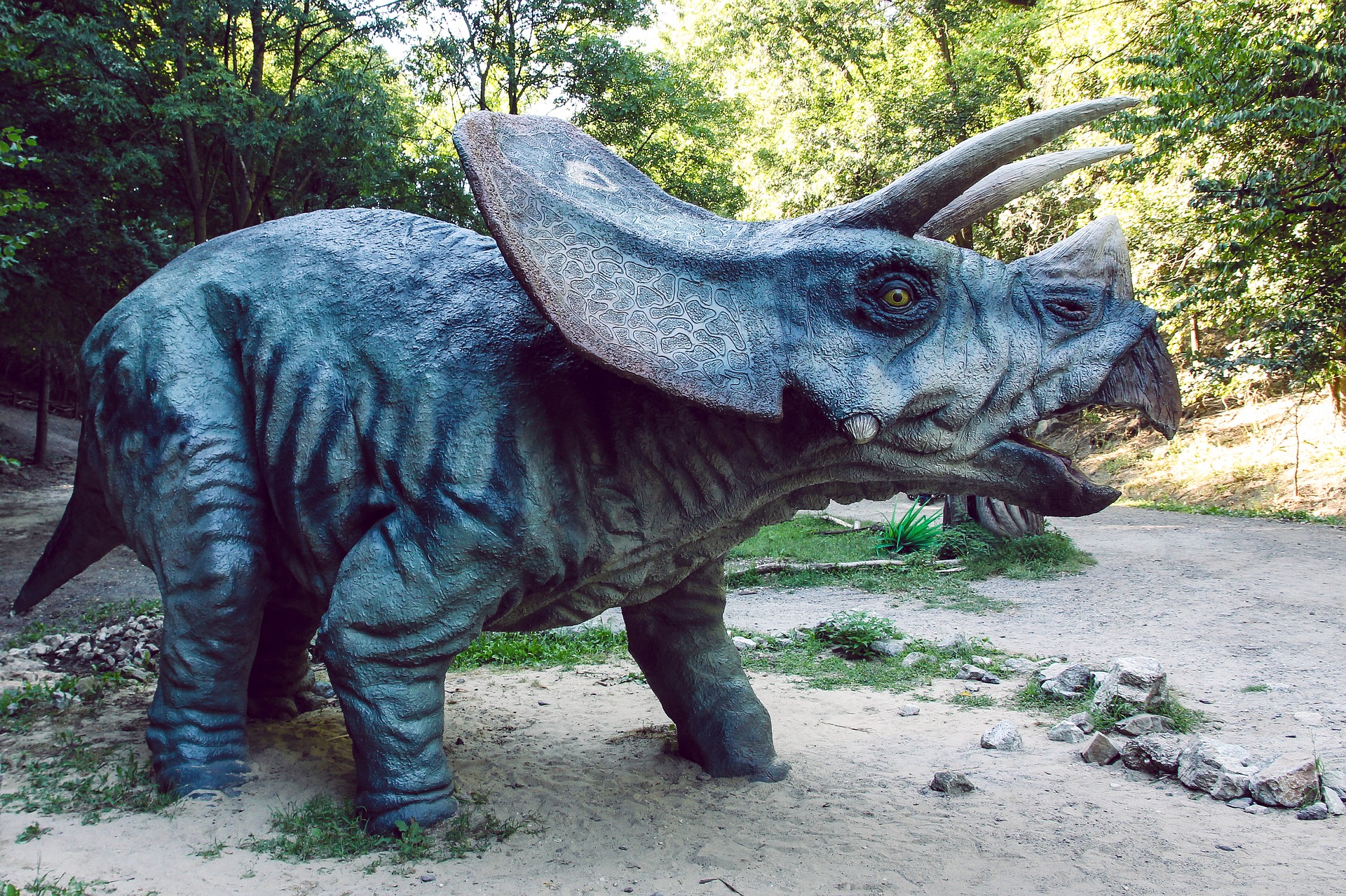 Dino Park Triceratops by Džoko Stach