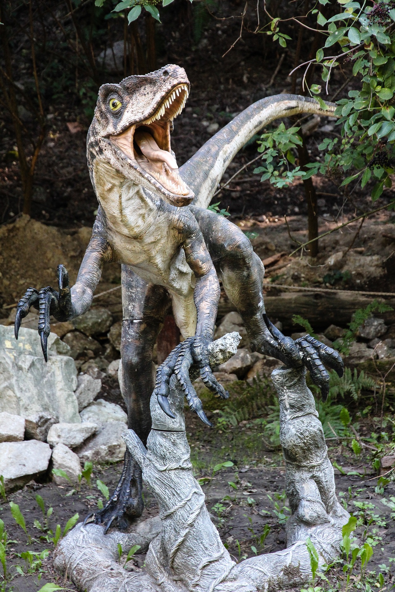 Dino Park Velociraptor by Džoko Stach