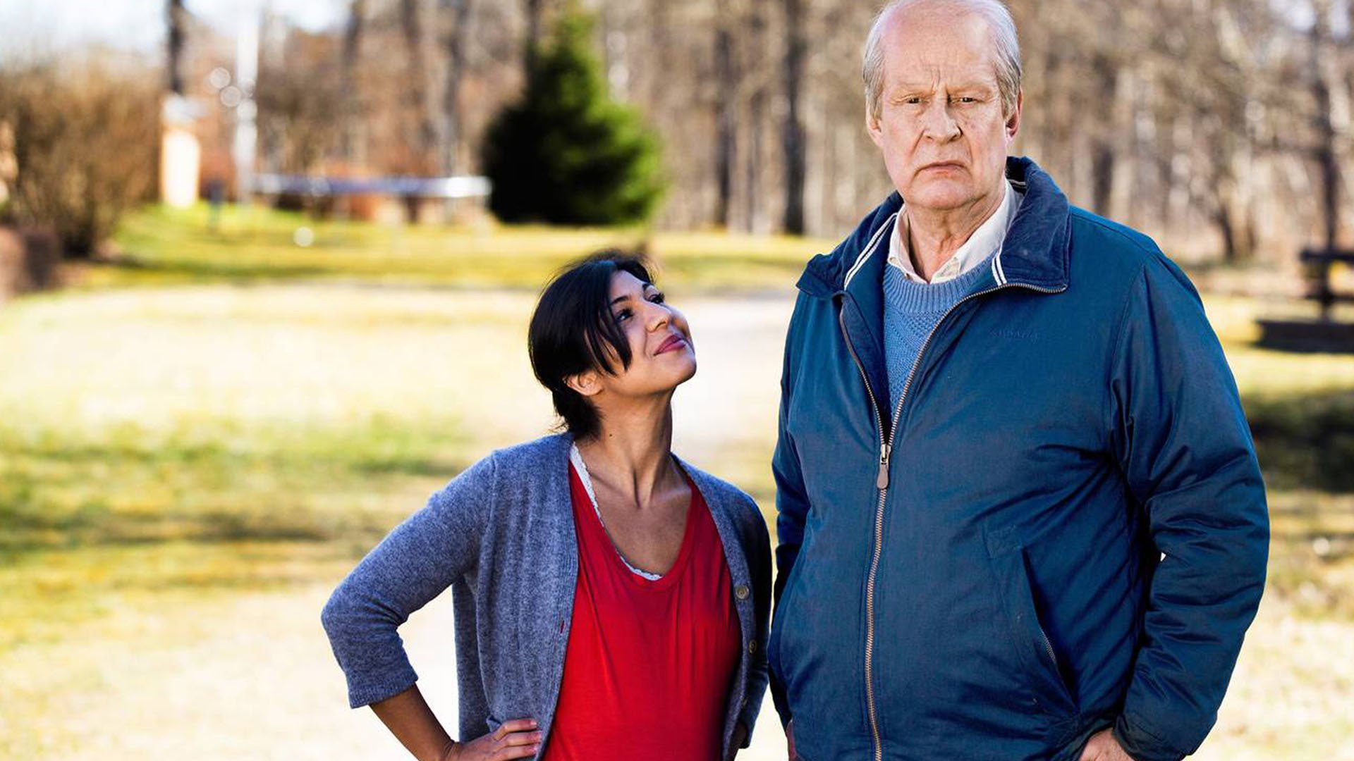 Download Movie A Man Called Ove Image