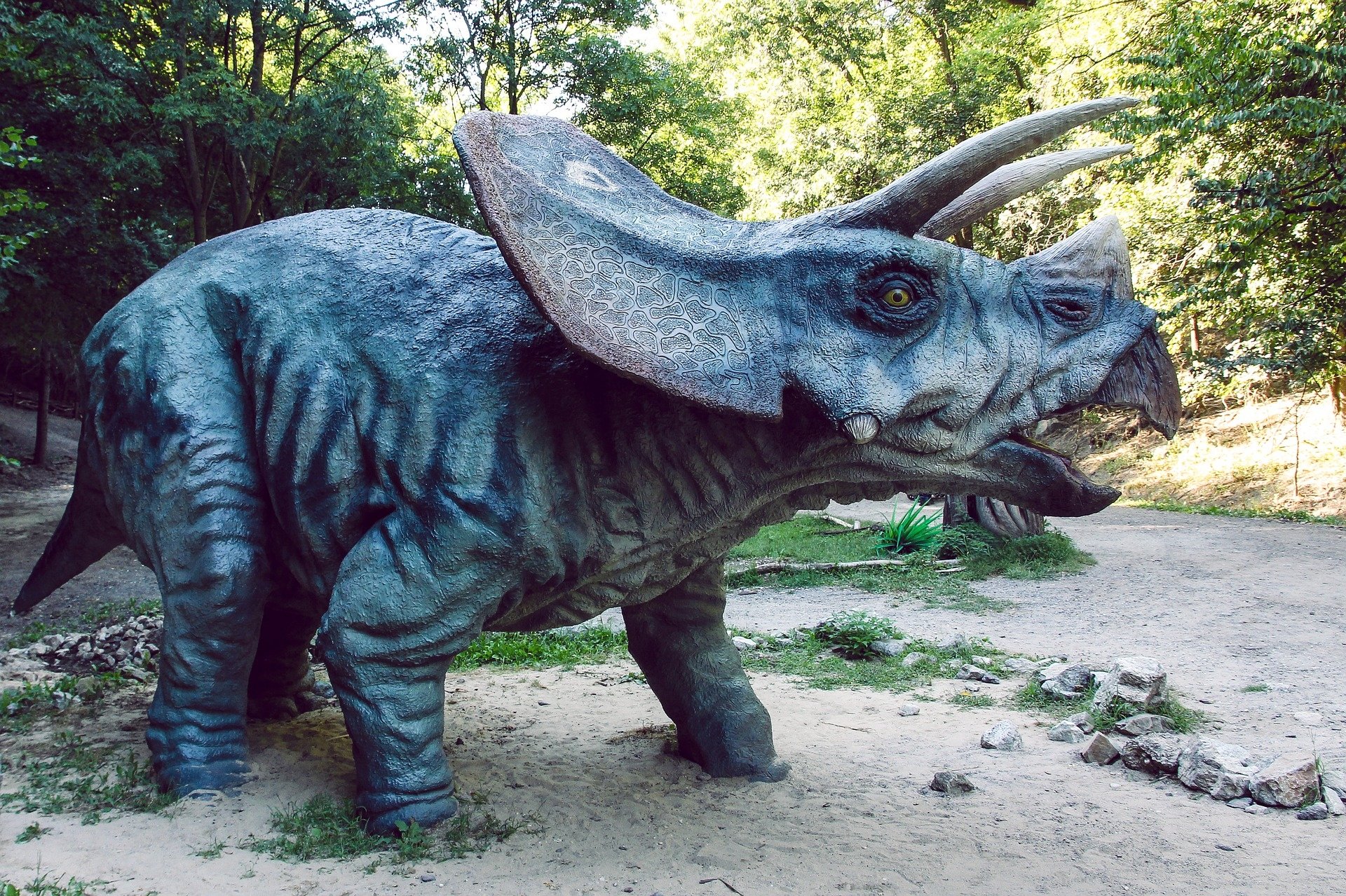  Dino Park Triceratops by Džoko Stach
